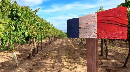 Macront is meggyőzték a francia gazdák? – elbukhat a Mercosur-tervezet