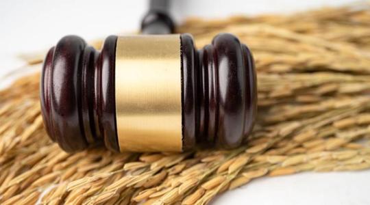 Agrárjog gazdáknak: segítség a gazdaságátadási szerződésekhez