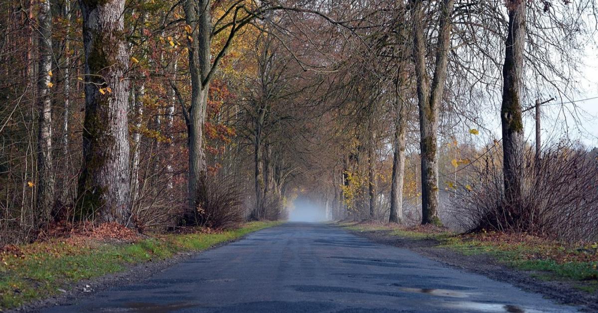 Időjárás: Az ország egyik fele szerencsés, a másik fele kevésbé +VIDEÓ