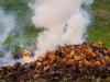 Amit a füst rejt: az avarégetés rejtett veszélyei