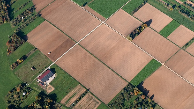 termőföld termőföld