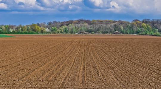 Hol találhatóak ma Magyarország legdrágább és legolcsóbb szántóföldjei?