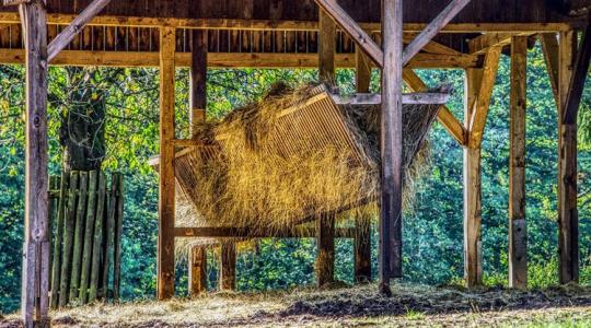 Ugrás az ismeretlenbe: így látják a 2027 utáni agrárpolitikát a természetvédők Ugrás az ismeretlenbe: így látják a 2027 utáni agrárpolitikát a természetvédők