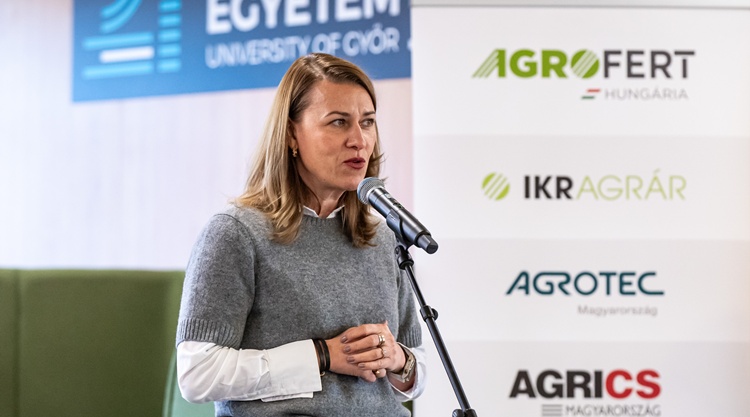 kozossegi ter kozossegi ter