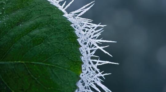 Észrevétlenül csúszunk bele a télbe a következő napokban Észrevétlenül csúszunk bele a télbe a következő napokban