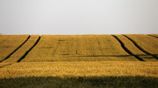Növekvő terméshozam, regenerálódó talaj – egyszerre? Növekvő terméshozam, regenerálódó talaj – egyszerre?