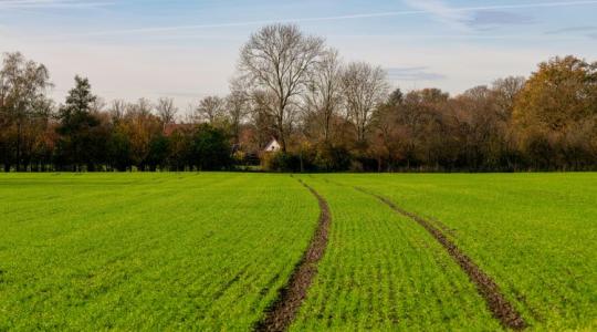 A siker kulcsa a tudatos tervezés – az év utolsó szakmai webinárja jön!