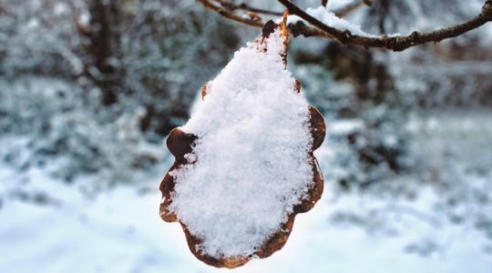 Időjárás: Ezeken a tájakon lehet havas eső ma este +VIDEÓ Időjárás: Ezeken a tájakon lehet havas eső ma este +VIDEÓ