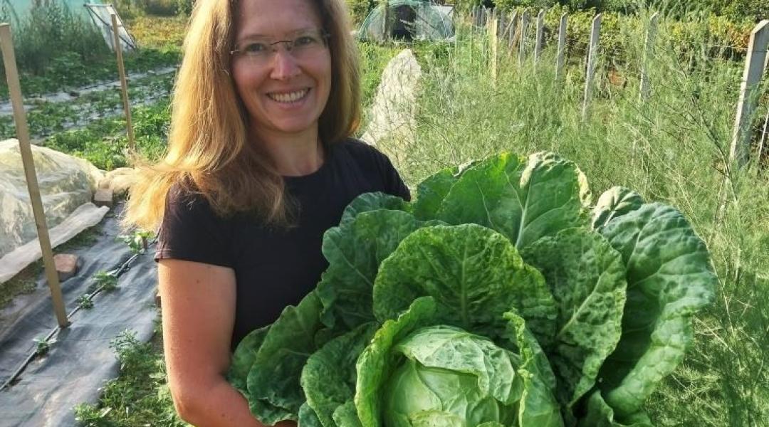 Önellátás kiskertből? Ha belevágsz, erről mindenképpen tudnod kell!