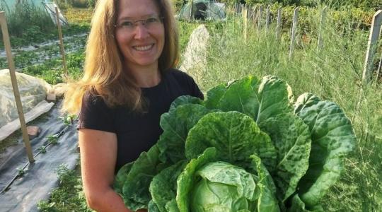 Önellátás kiskertből? Ha belevágsz, erről mindenképpen tudnod kell!