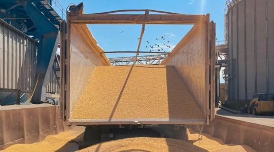 Láthatatlan kéz nyomja lefelé az árakat Láthatatlan kéz nyomja lefelé az árakat