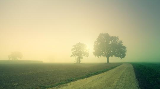 Zúzmara és köd: semmi jóra ne számíts Zúzmara és köd: semmi jóra ne számíts