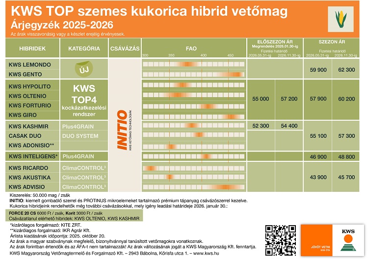 körkérdés körkérdés