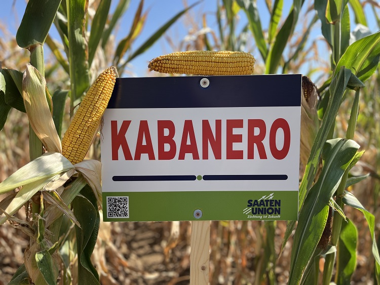 saaten-union saaten-union