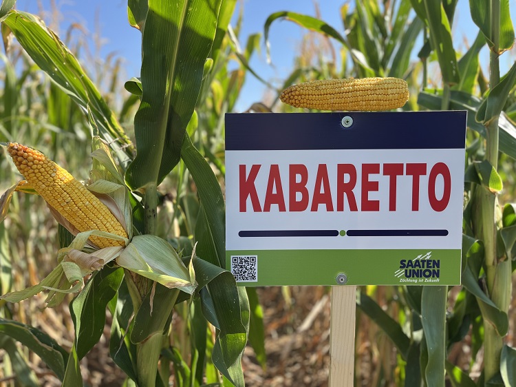 saaten-union saaten-union