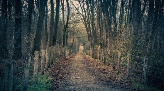 Időjárás: élénk szél hordja majd az arcodba a havas esőt +VIDEÓ