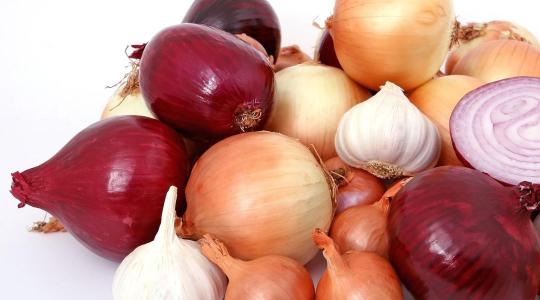 Kórokozók és tilalmak szorításában: új korszak a hagymatermesztésben?