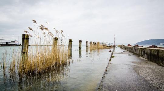 Valóban a vízgyűjtő területeken dől el a Balaton sorsa?