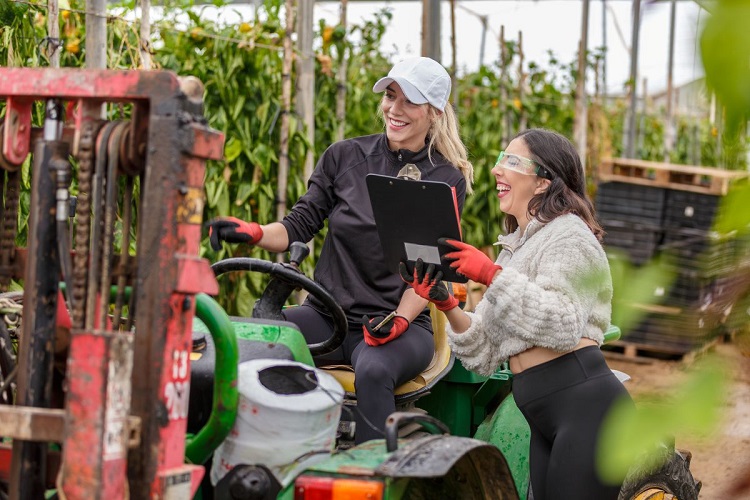 védőfelszerelések védőfelszerelések