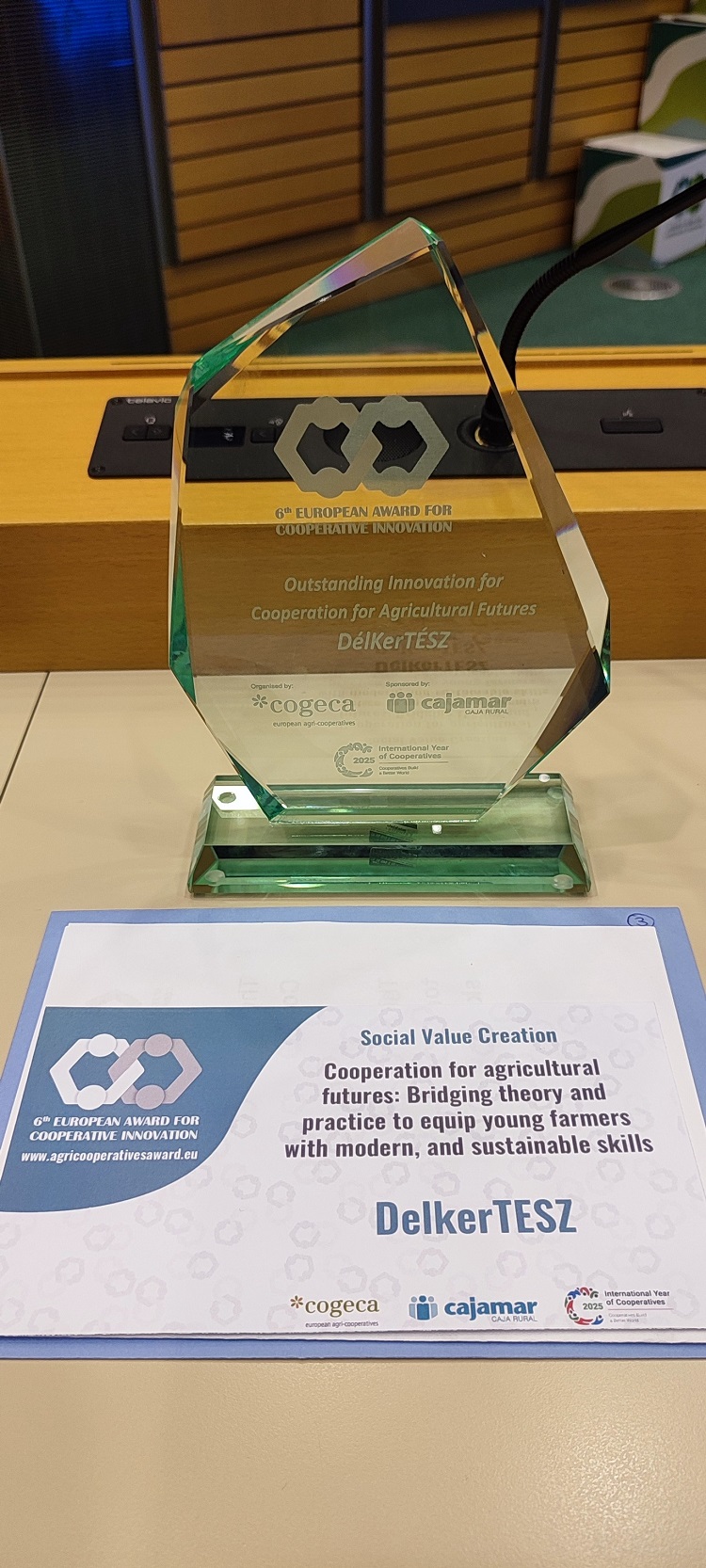 Délkertész Délkertész