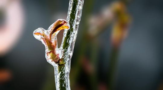 Közeleg a határidő: december 1-jéig nyújtható be ez a kérelem