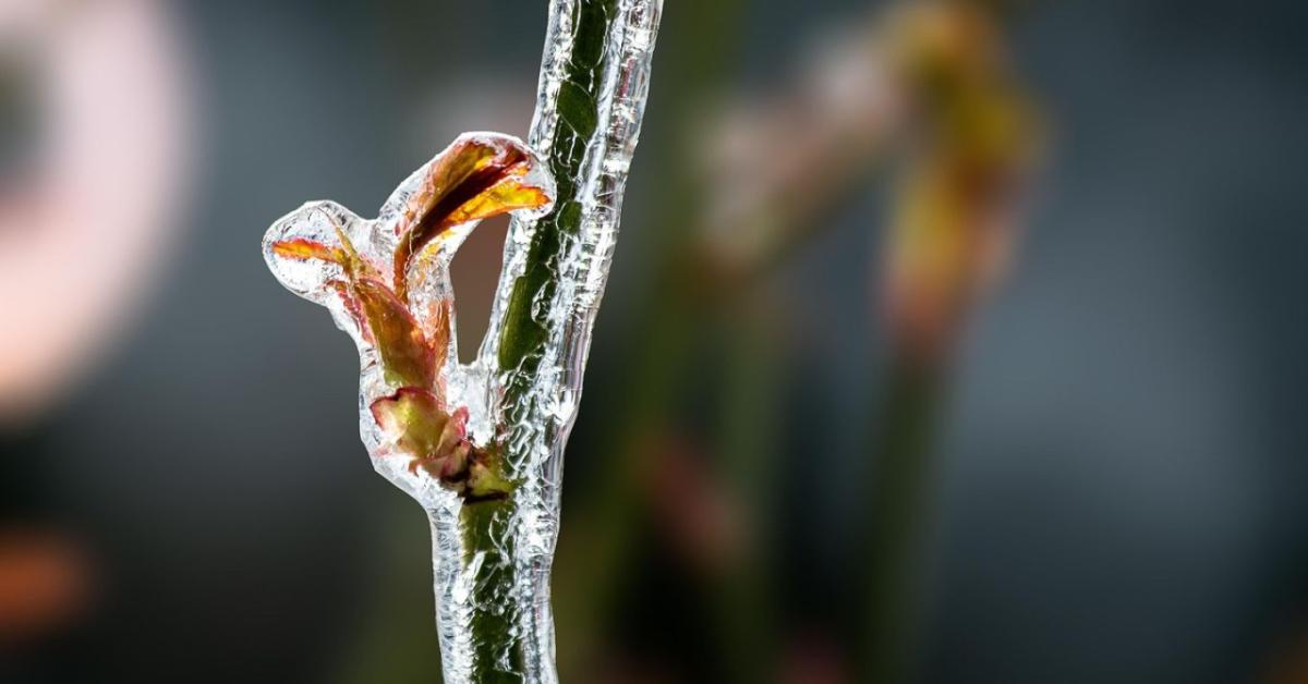 Közeleg a határidő: december 1-jéig nyújtható be ez a kérelem