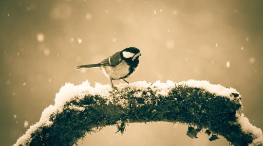 Időjárás: Jön az utánpótlás + VIDEÓ