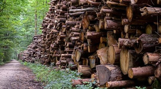 Robbanásszerű növekedés jöhet 2032-ig ebben az ágazatban