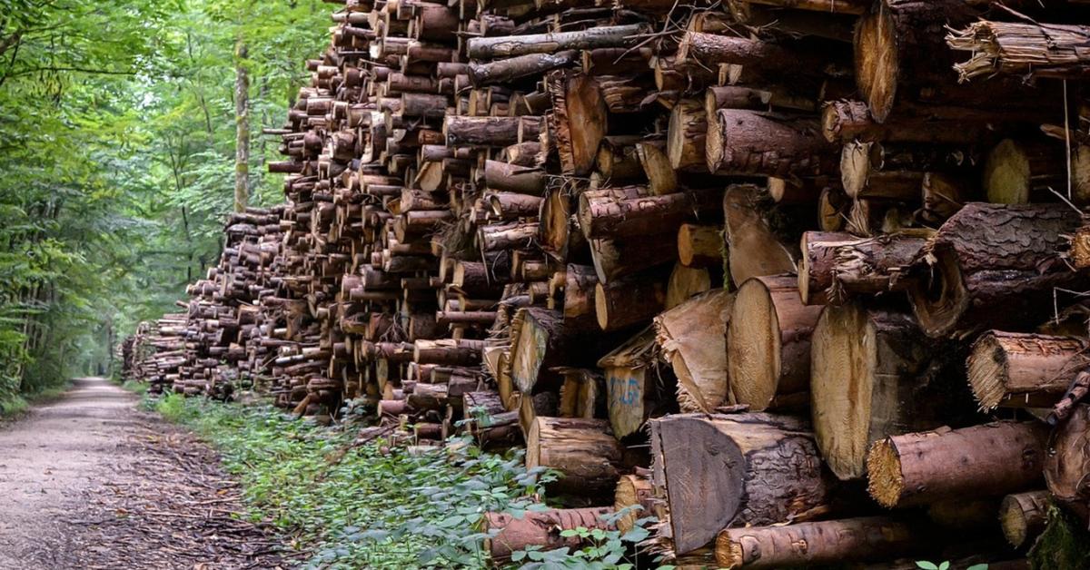Robbanásszerű növekedés jöhet 2032-ig ebben az ágazatban