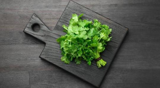 Koriander a kertben: hogyan nevelj egészséges és bőtermő növényt?