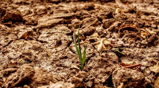 Példátlan per: egy belga gazda az olajvállalaton kéri számon a klímaváltozást