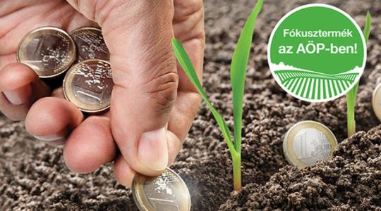 A nitrogén, ami ott marad, ahol kell – a gyökérzónában