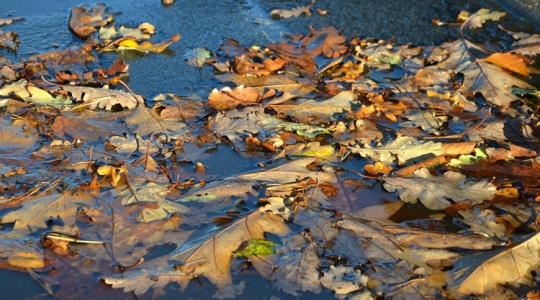 Ázni és fázni fogunk, de lesz egy apróság, aminek örülhetünk a héten