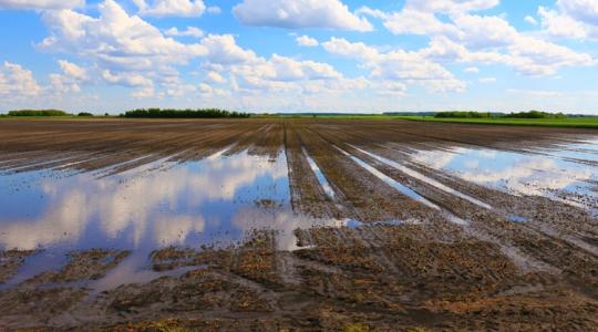 Egy egész havi eső zúdulhat ránk a napokban, átok lesz, vagy áldás?