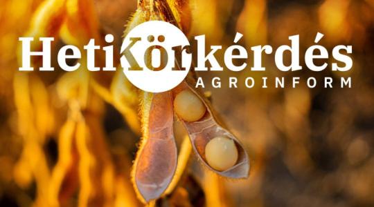Bemutatjuk a legújabb szójafajtákat – Heti Körkérdés