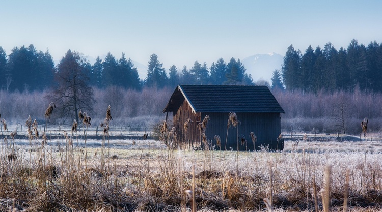 fagyos taj fagyos taj