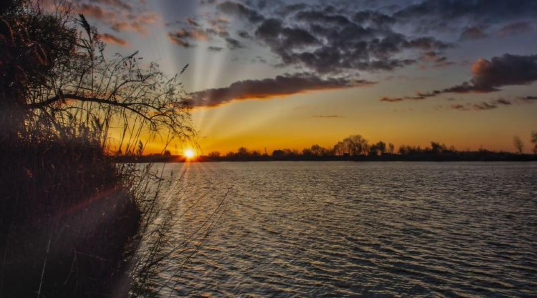 Mire nem jók a halastavak! Te gondoltál erre?