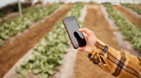 Ezek a fontos változások a mobilGAZDA alkalmazásban a kérelmeket is érintik Ezek a fontos változások a mobilGAZDA alkalmazásban a kérelmeket is érintik