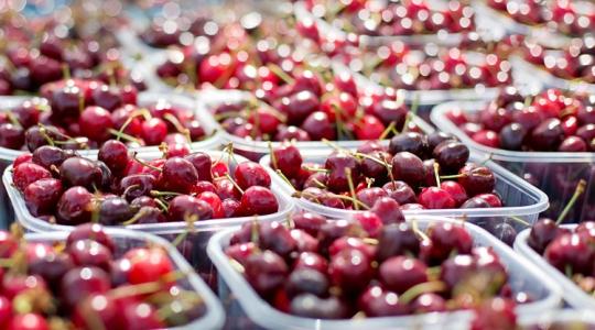 Új lehetőség termelőknek, nem érdemes kihagyni Új lehetőség termelőknek, nem érdemes kihagyni