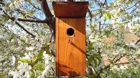 MobilGazda-fotót kérhetnek erről az AKG ellenőrzéseken