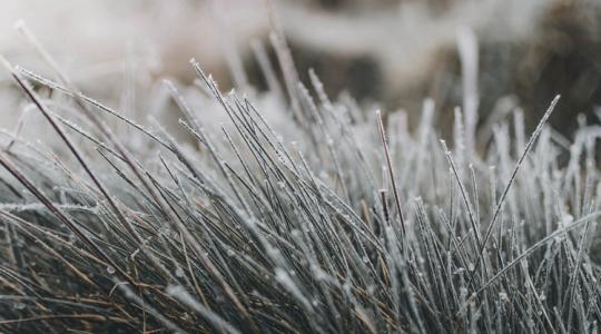 Időjárás: Csípős hajnal, hideg nappal +VIDEÓ