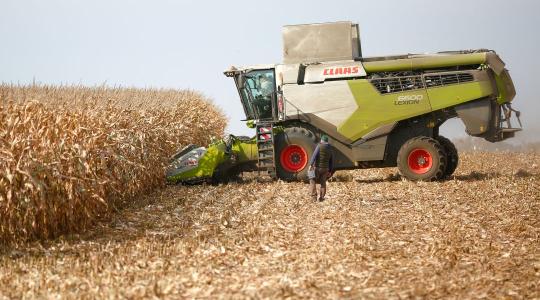 Ismét bizonyítottak a KWS kukoricahibridek az MKK TOP20 kísérletekben!