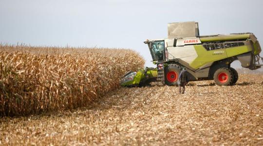 Termőképes, alkalmazkodó, gyorsan száradó – ilyen hibridekre van ma szükség 