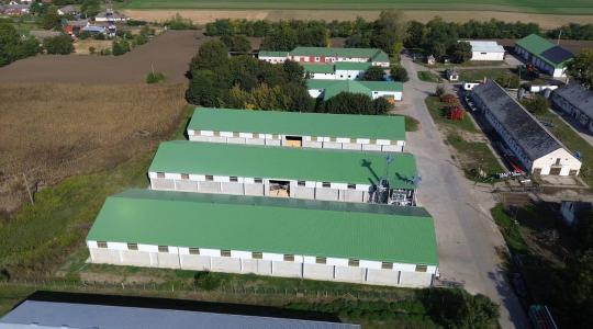 ESG a gyakorlatban: hogyan lesz egy csarnok valódi versenyelőny?