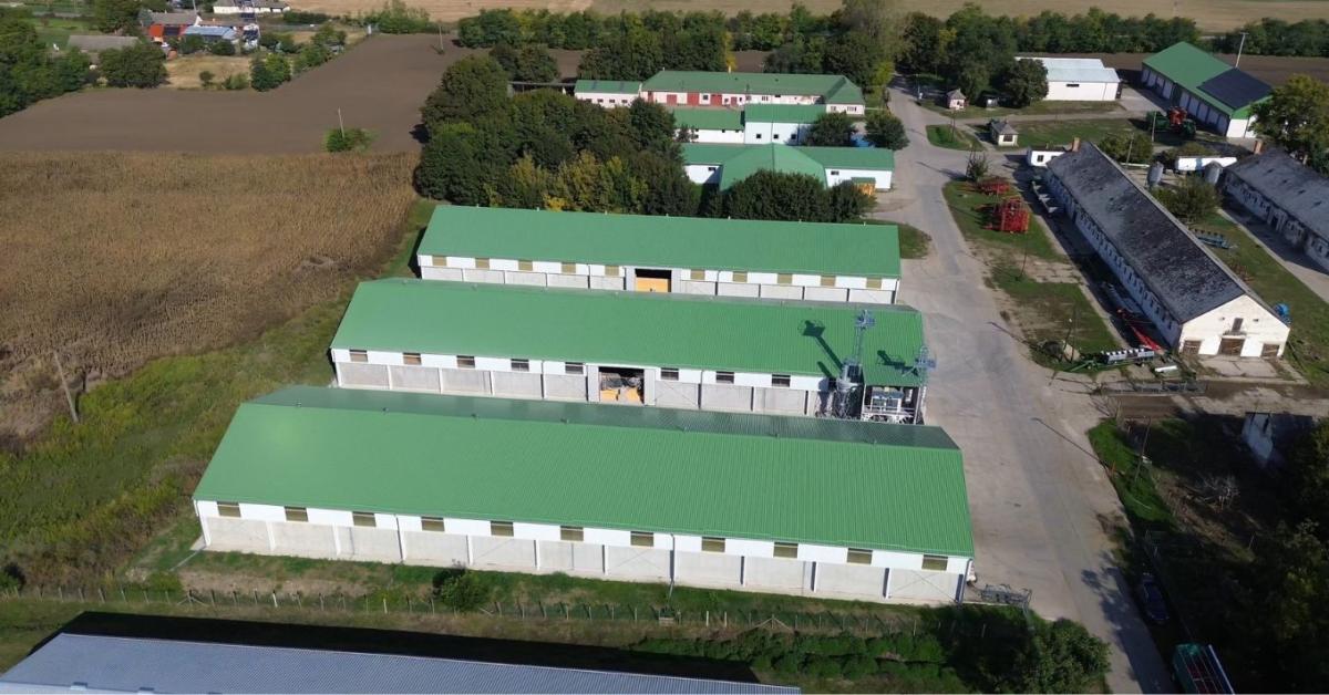 ESG a gyakorlatban: hogyan lesz egy csarnok valódi versenyelőny?