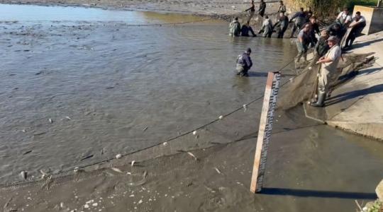 Radóczi János: Tíz éve folyamatos a harc a vízért – itt az igazság a tógazdaságokról