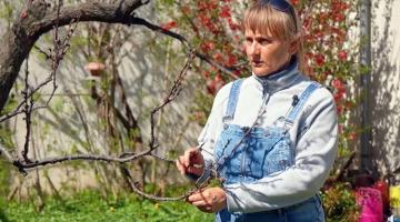 Biológiai növényvédelem kicsiben és nagyban Biológiai növényvédelem kicsiben és nagyban