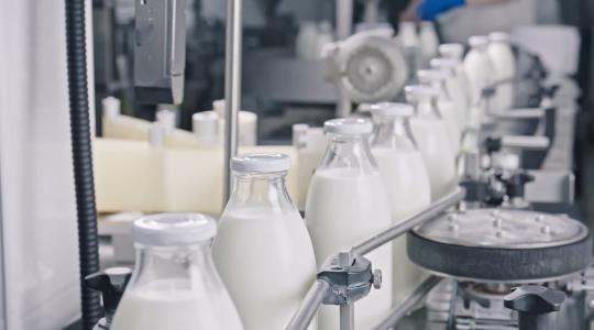 Védőháló a tejiparnak – 50 milliárdos keret segíti a hazai cégeket