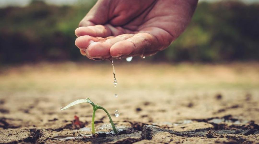 Aszály, vízhiány, rossz válaszok – zsákutca felé tart a magyar mezőgazdaság?