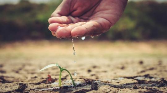 Aszály, vízhiány, rossz válaszok – zsákutca felé tart a magyar mezőgazdaság?